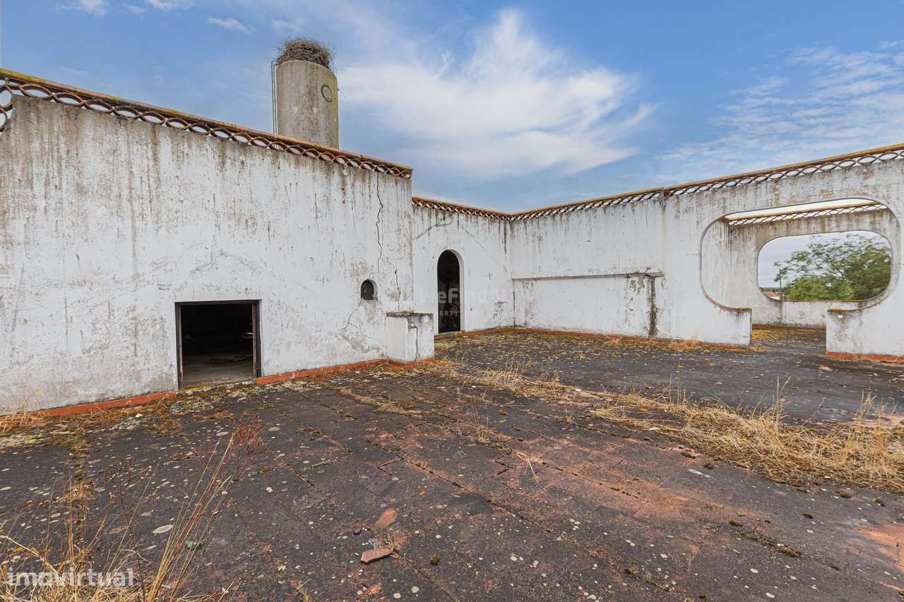 Quinta do Sol - Pegões-30