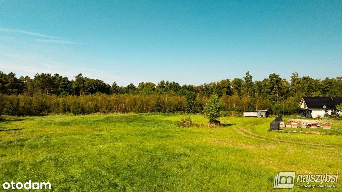 Dziwnów - działka 2562m2 z Mpzp pod lasem - Pełny obrazek: 4/12