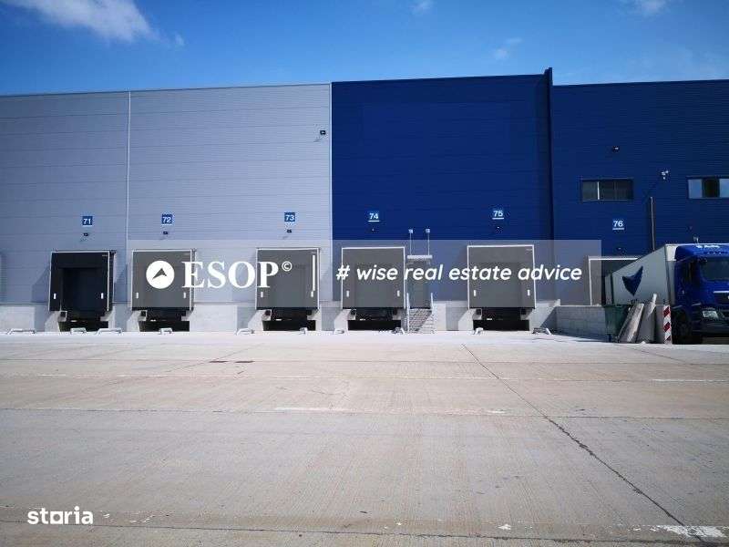 Logicor Mogosoaia - Hale / Spatii Depozitare / Logistice, 0% comision - Imagine principală: 4/6