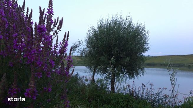 Belciugatele, Mariuta, teren cu iesire la lacul Mostistea/ schimb-3