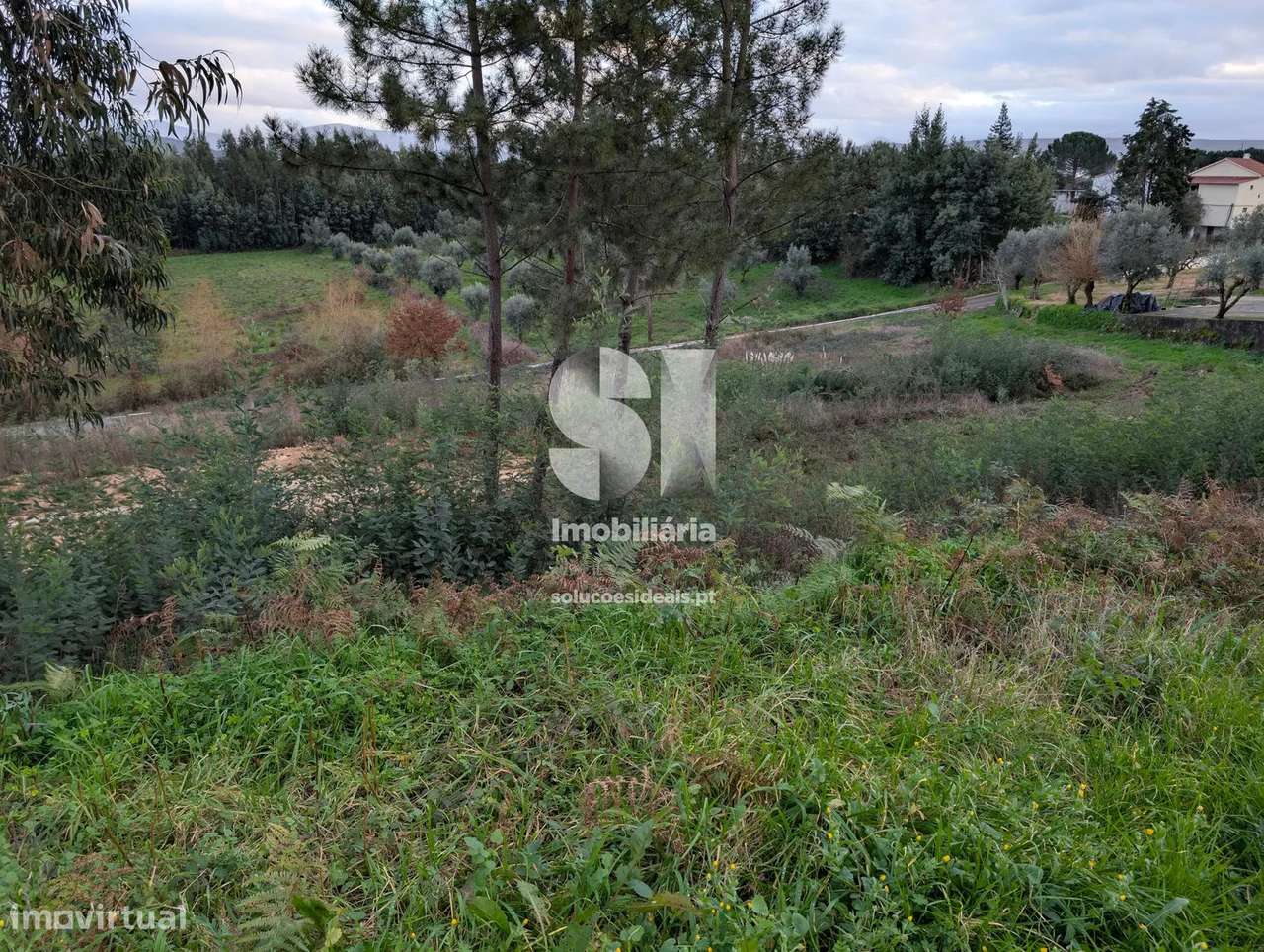 Terreno em Arganil - Grande imagem: 5/11