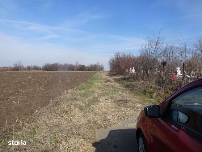 Livedea, Sinesti, teren fara vecini! 1500mp-0