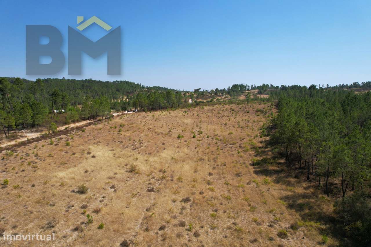 Terreno Rústico  Venda em Sarzedas,Castelo Branco - Grande imagem: 4/12