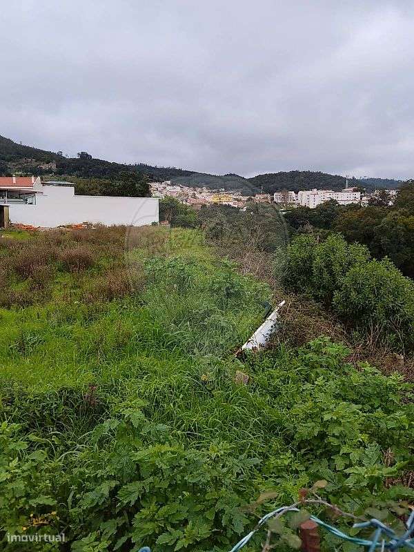 Terreno  para venda - Grande imagem: 3/4