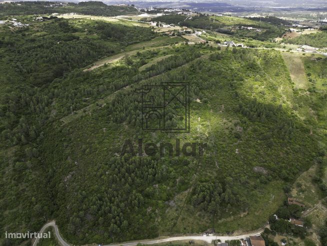 TERRENO MISTO COM 48Ha EM ALENQUER!-24