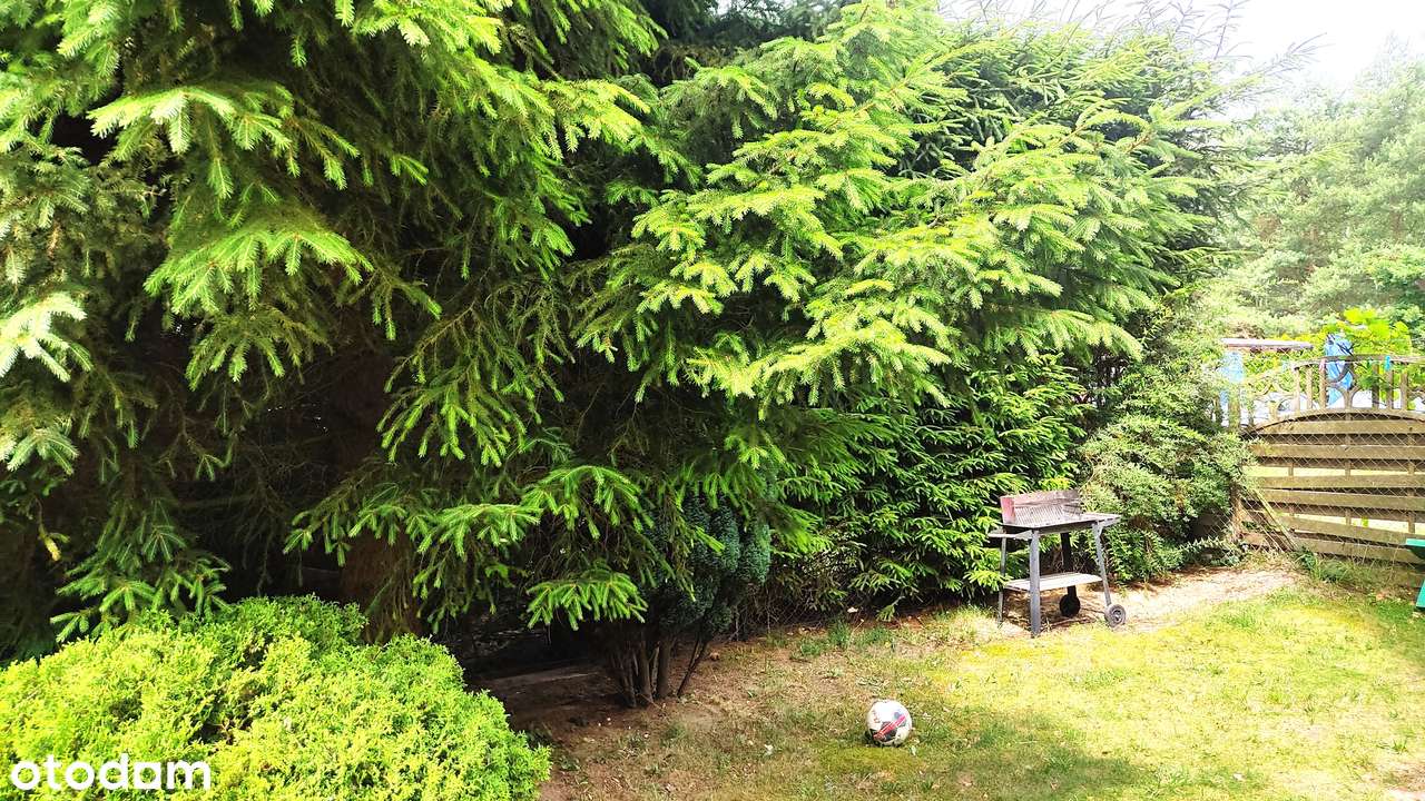 Mieszkanie 6-pokojowe 144m2, ogródek, garaż, nad morzem k. Kołobrzegu-6