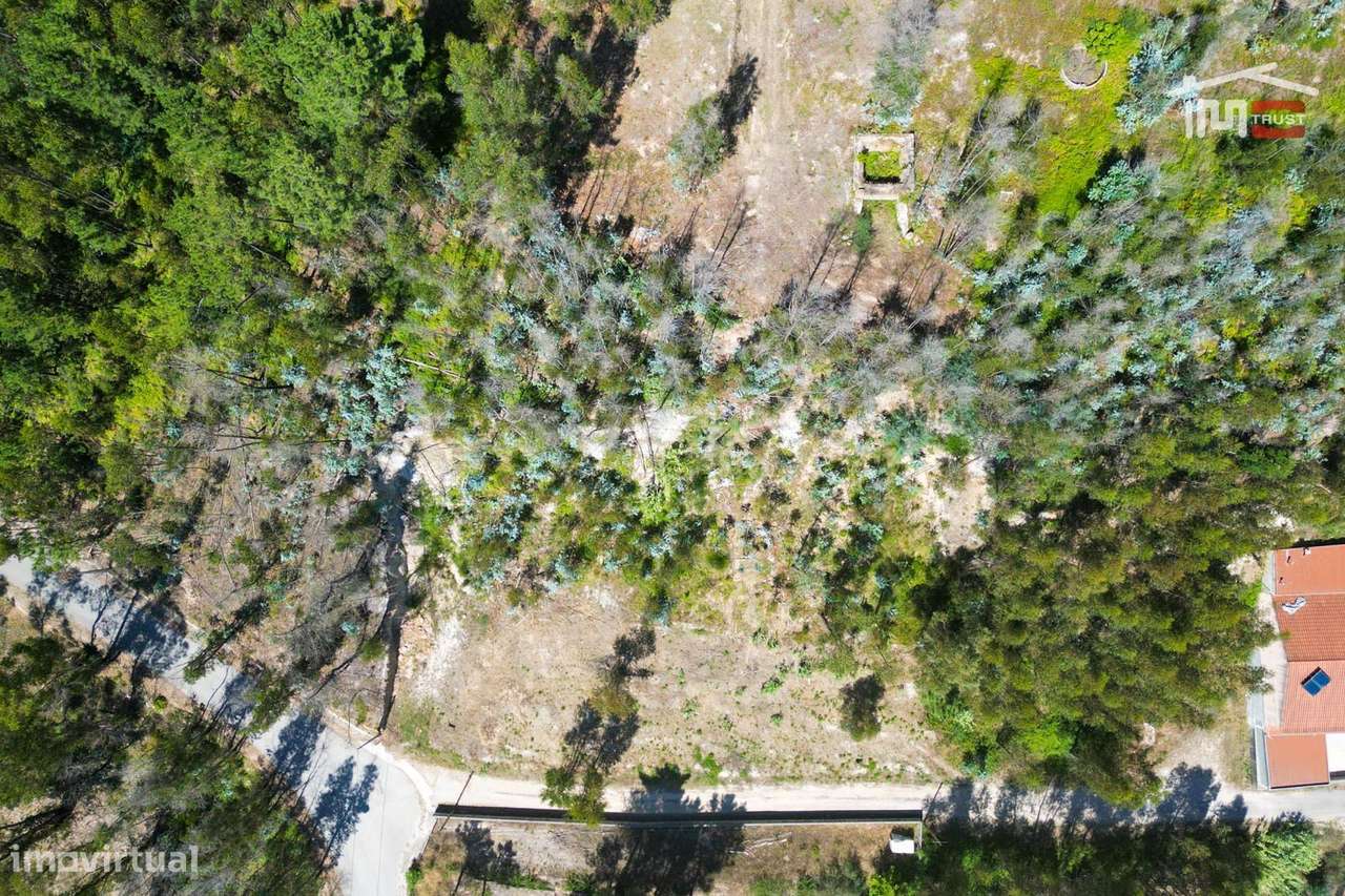 Terreno no centro de Caxarias com 769,77 m2 - Grande imagem: 4/11