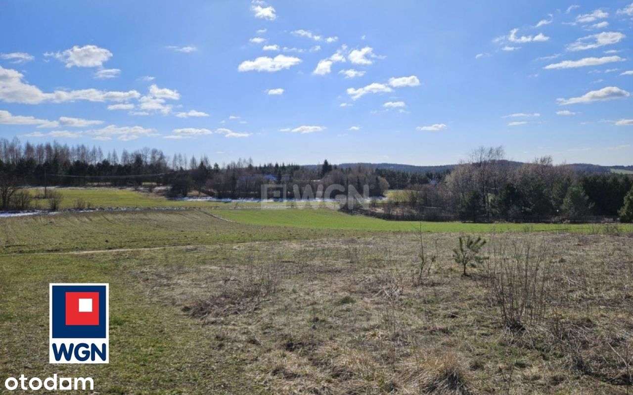 Widokowa działka siedliskowa na Jurze - Pełny obrazek: 3/13