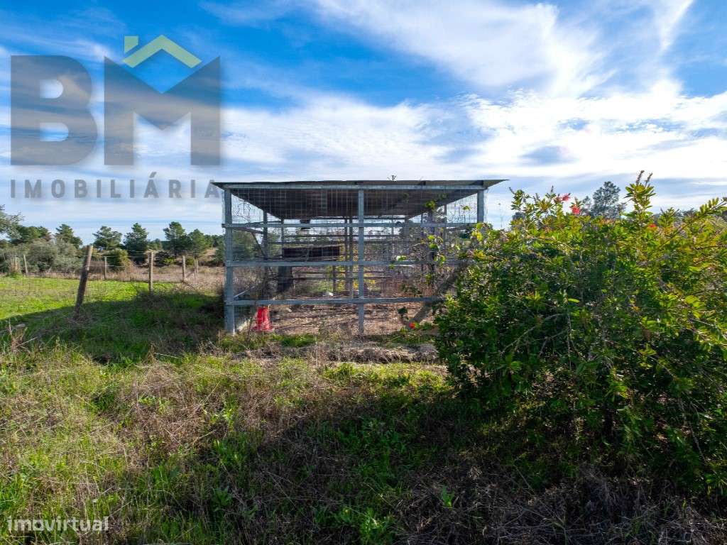 Quinta das Fontainhas - Propriedade Única em Lardosa-32