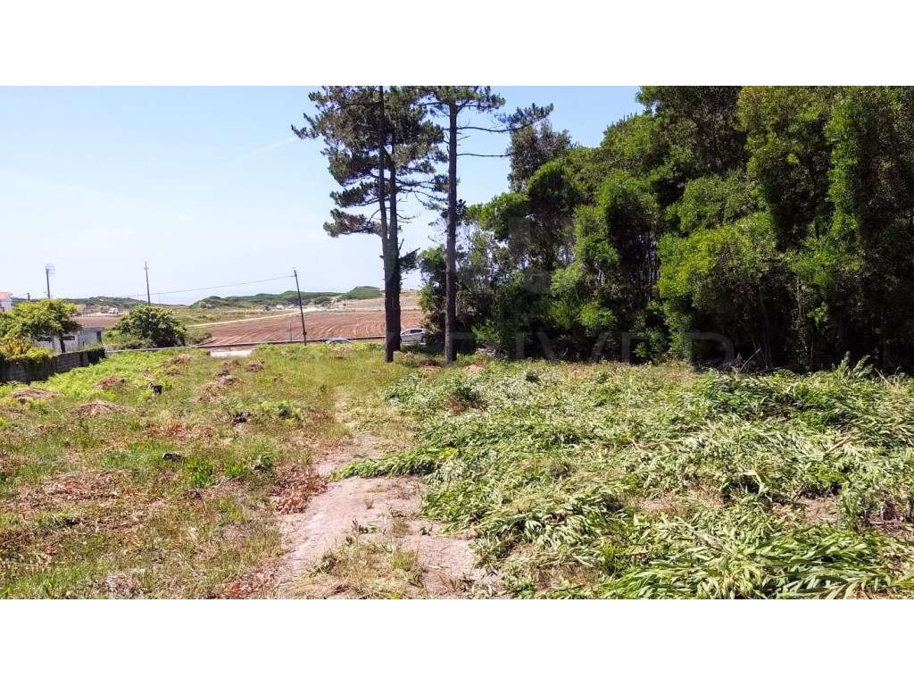 Terreno para construção - Afife, Viana do Castelo - Grande imagem: 3/8