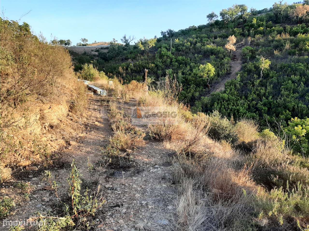 Terreno  Venda em São Barnabé,Almodôvar - Grande imagem: 4/12