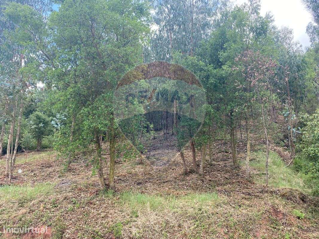 Terreno  para venda - Grande imagem: 4/6