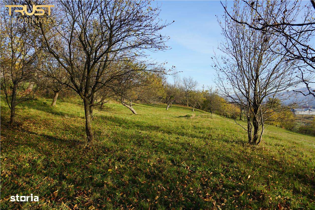 Teren intravilan Bistrita Bargaului - Imagine principală: 4/18