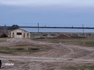 Se vinde o interprindere agricola (Basarabia, Ukraine) 1400 de hectare