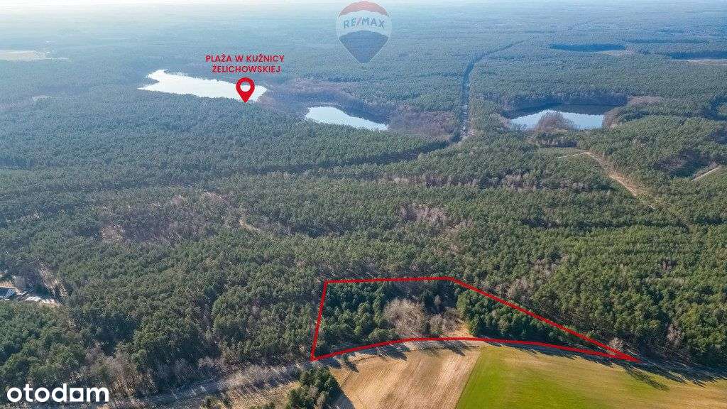 Działka rolna Kuźnica Żelichowska jezioro widoki - Pełny obrazek: 1/6