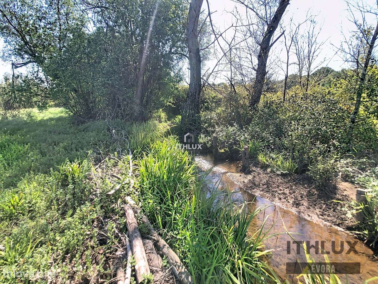 Propriedade com alma em Alqueva - Grande imagem: 5/17