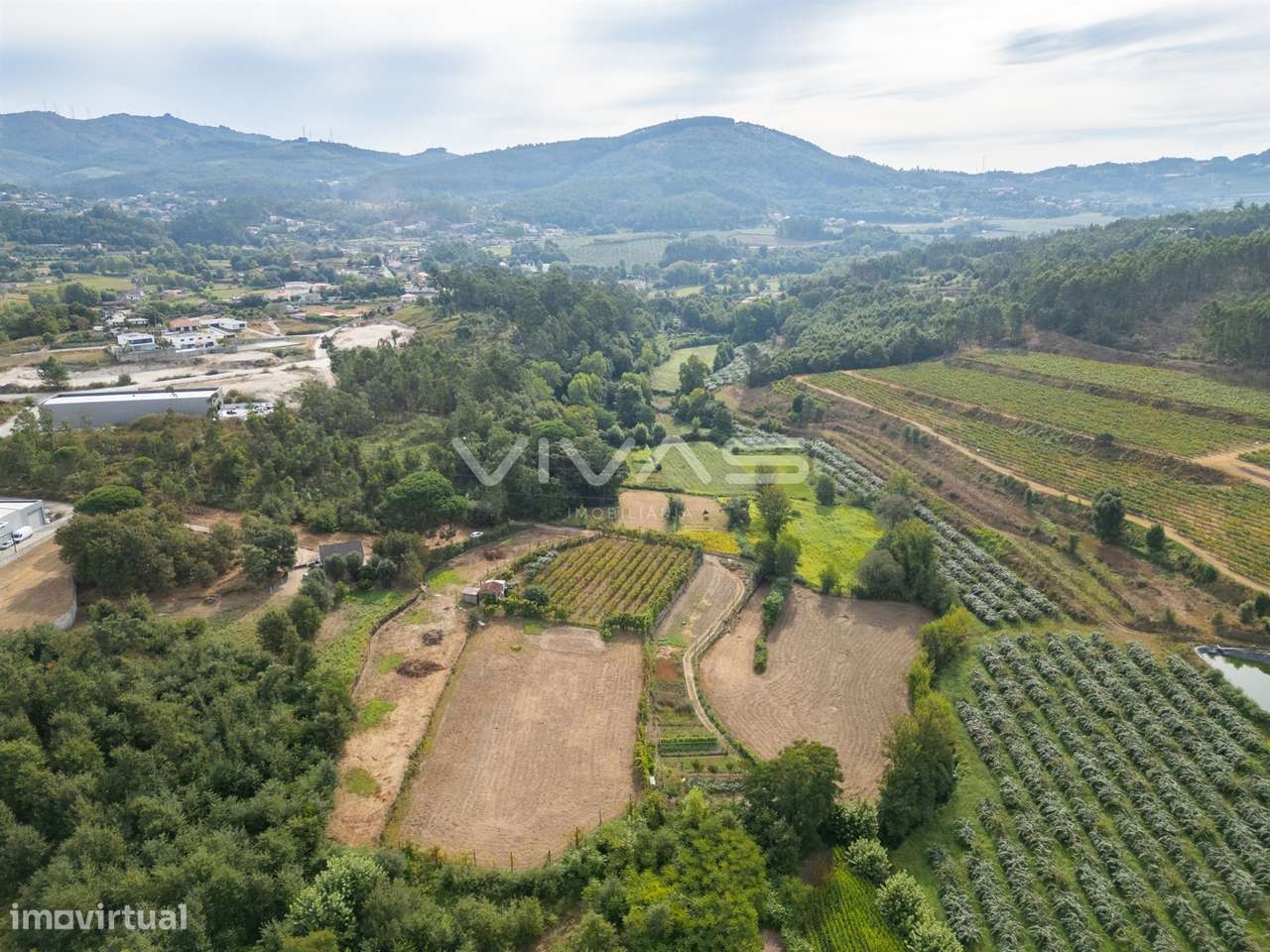 Terreno Rústico  Venda em Monsul,Póvoa de Lanhoso - Grande imagem: 4/15