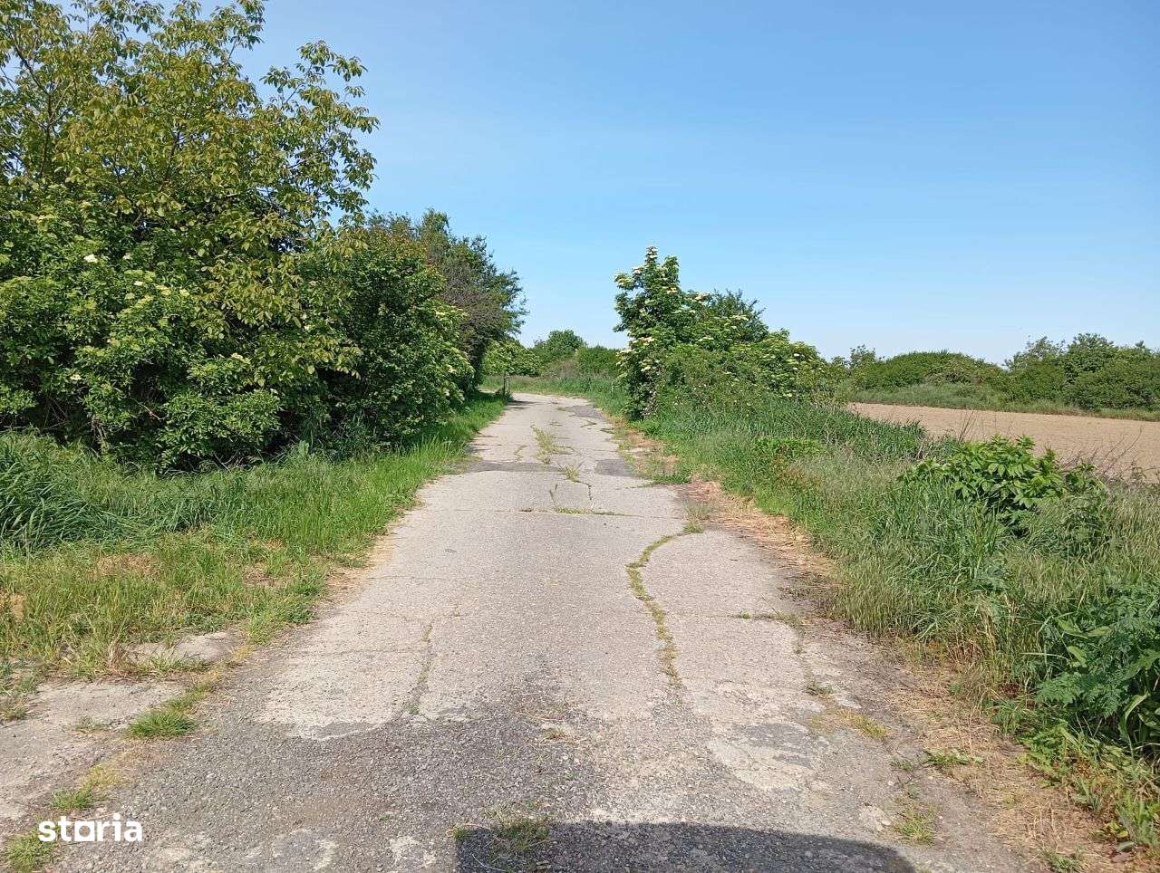 Oportunitate de investiție la intrare în Lazuri – 24.912 mp teren - Imagine principală: 5/10