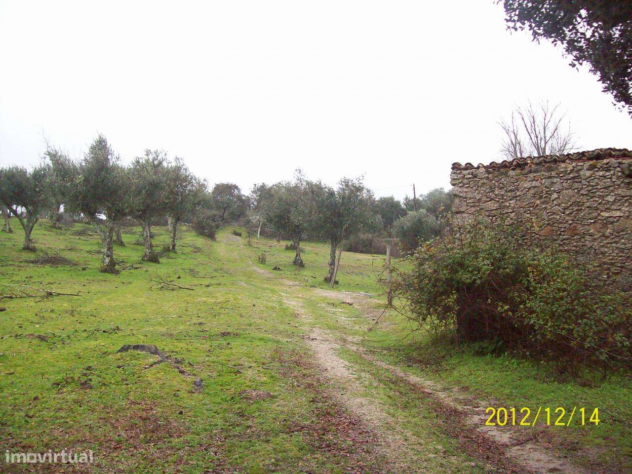 Herdade do Monte da Pedra.-23