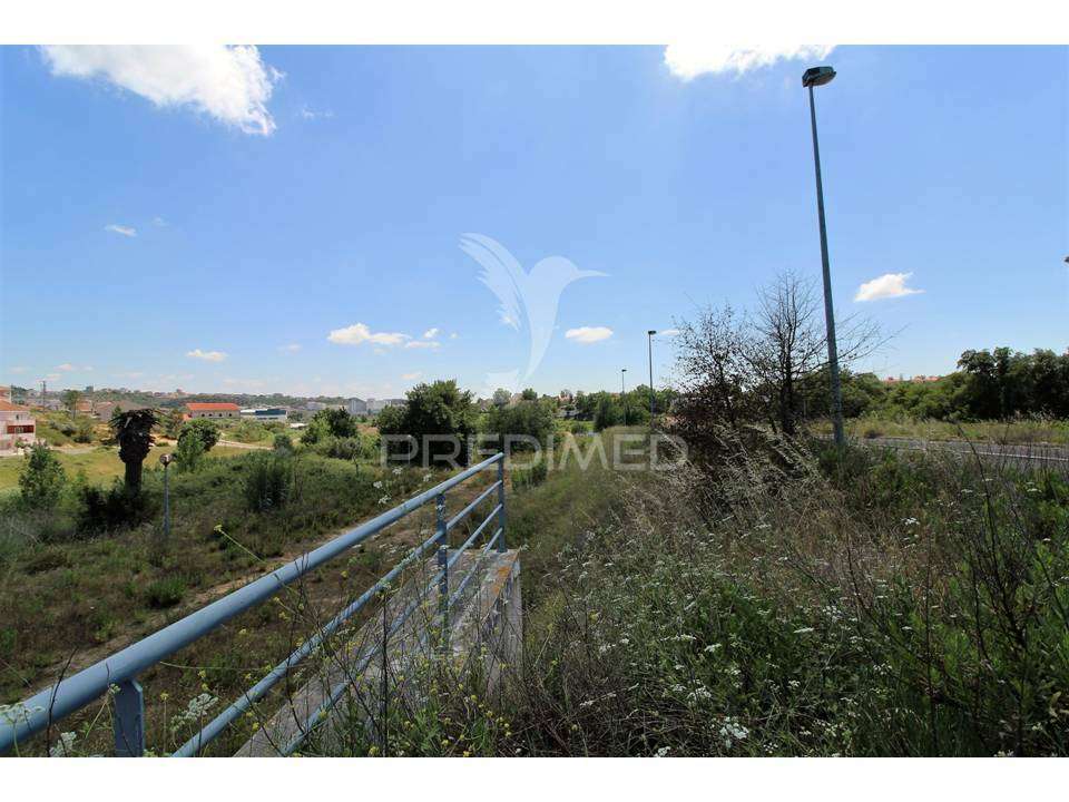 Lote de Prédio em Santarém - Grande imagem: 4/23