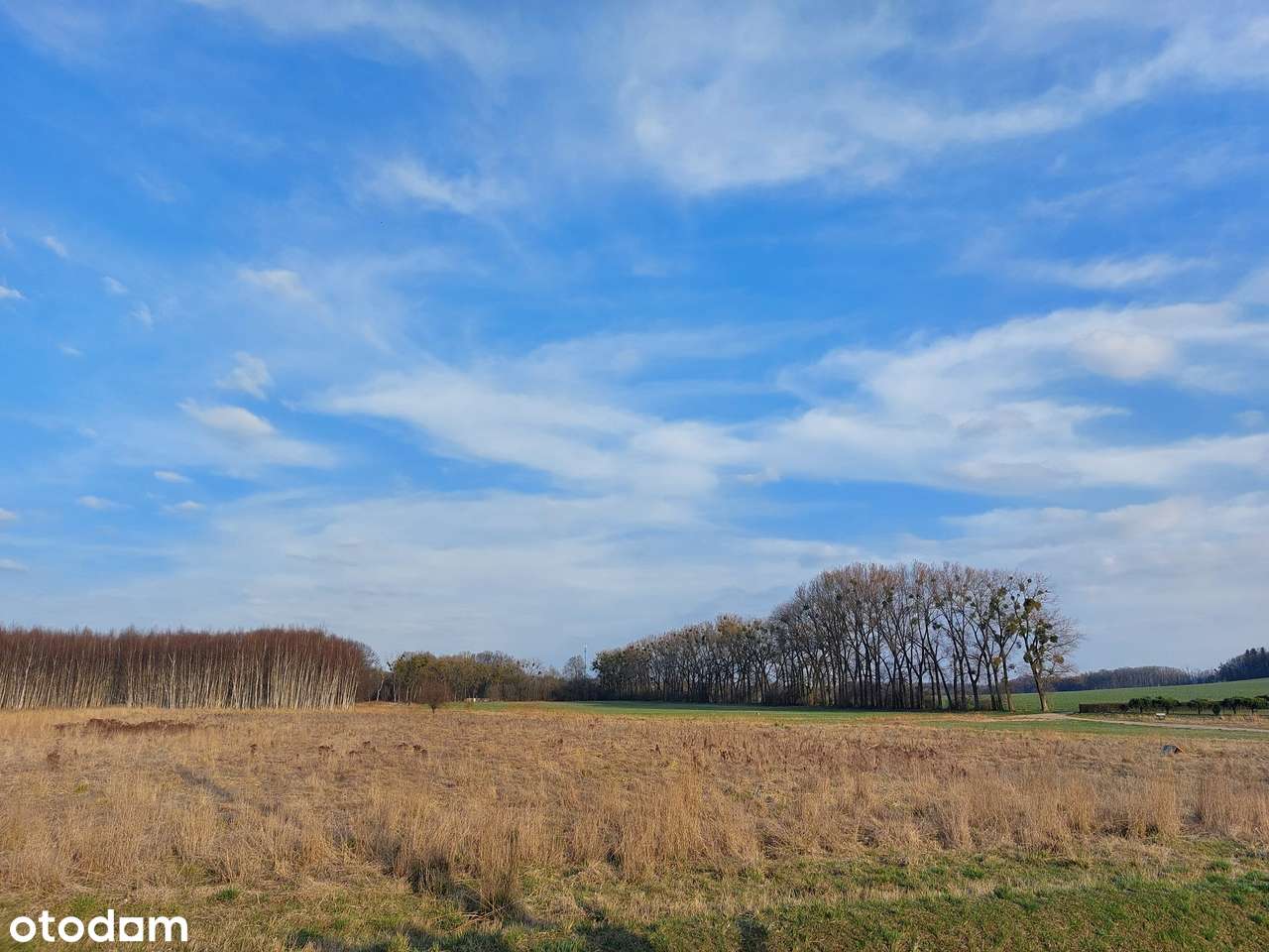 Działki budowlane, różne metraże, media-0