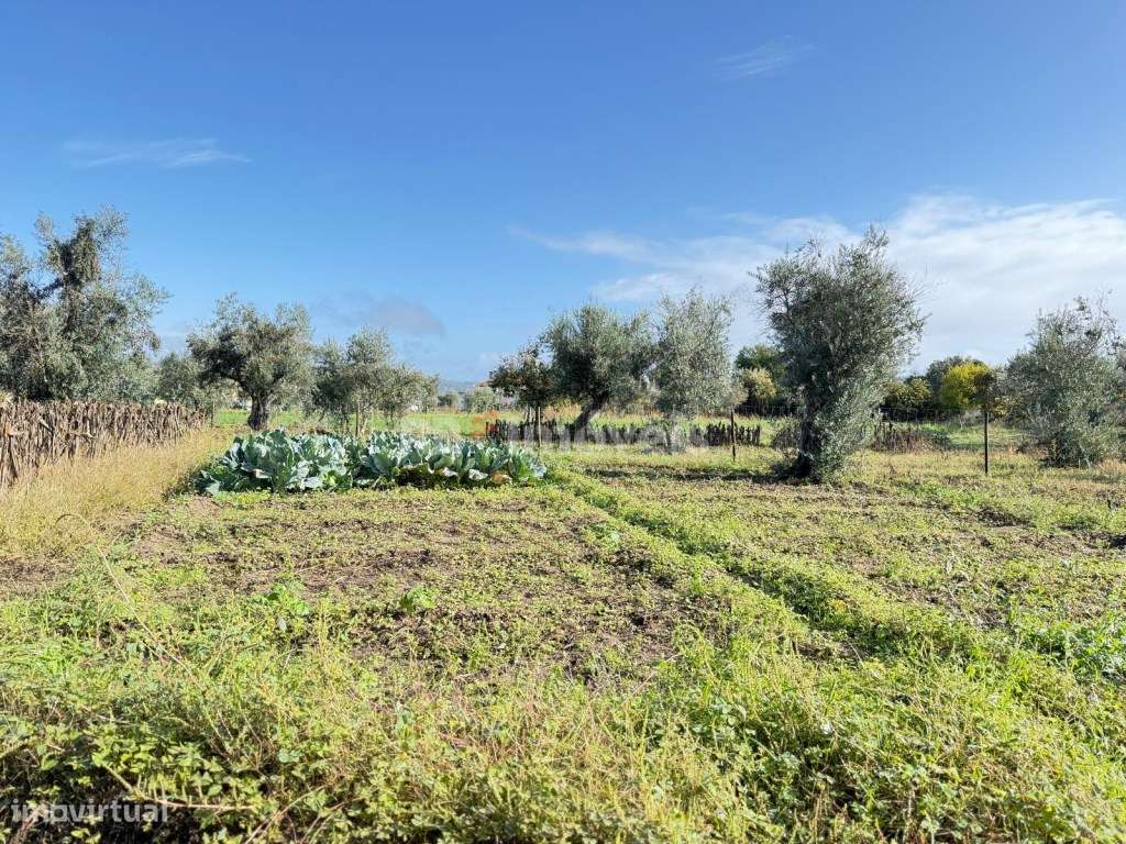 Terreno Rustico- Monte Galego - Grande imagem: 5/6
