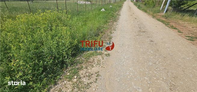 Teren de vanzare in Micesti cu suprafata generoasa-1