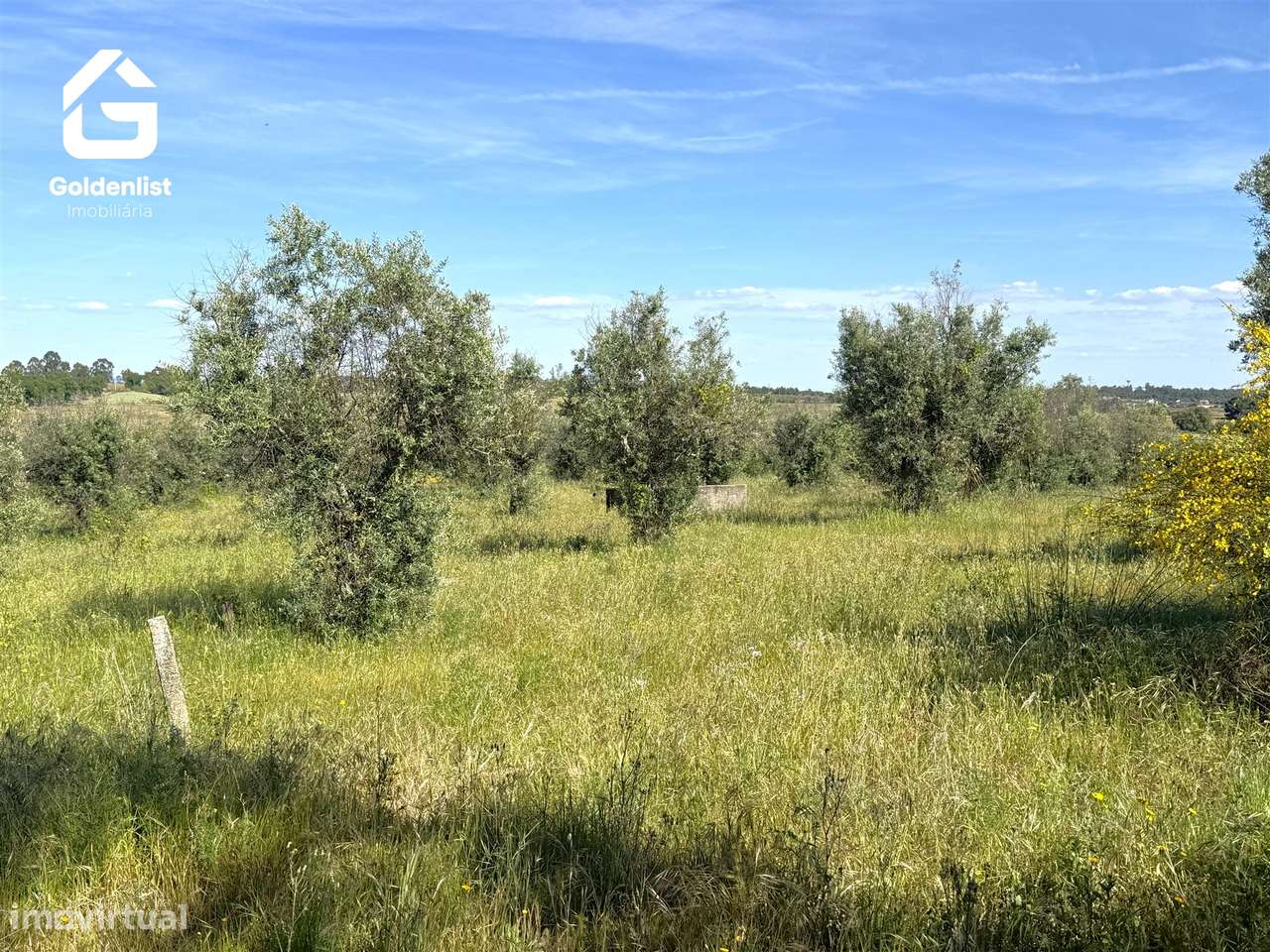 Quintinha  Venda em Escalos de Cima e Lousa,Castelo Branco-28