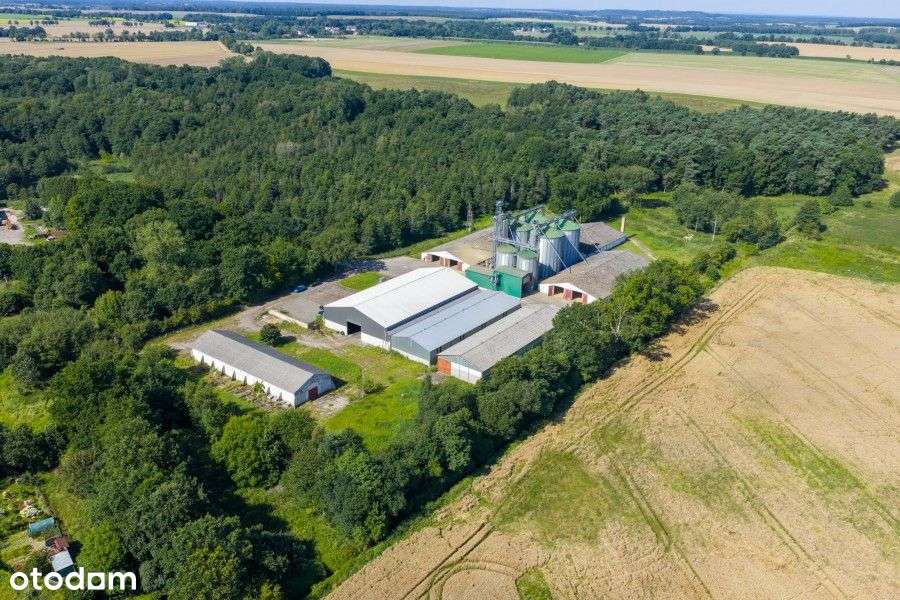 Lokal użytkowy, 26 472 m², Baszewice-13