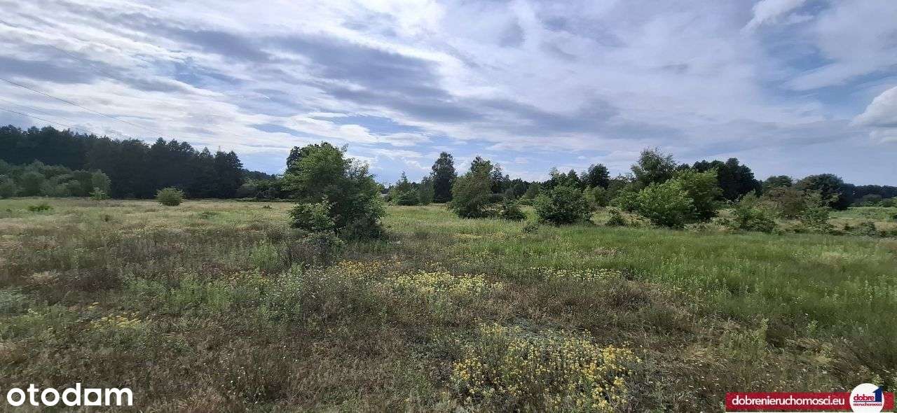 Działka budowlana | 1158m2 | Solec Kujawski - Pełny obrazek: 3/5