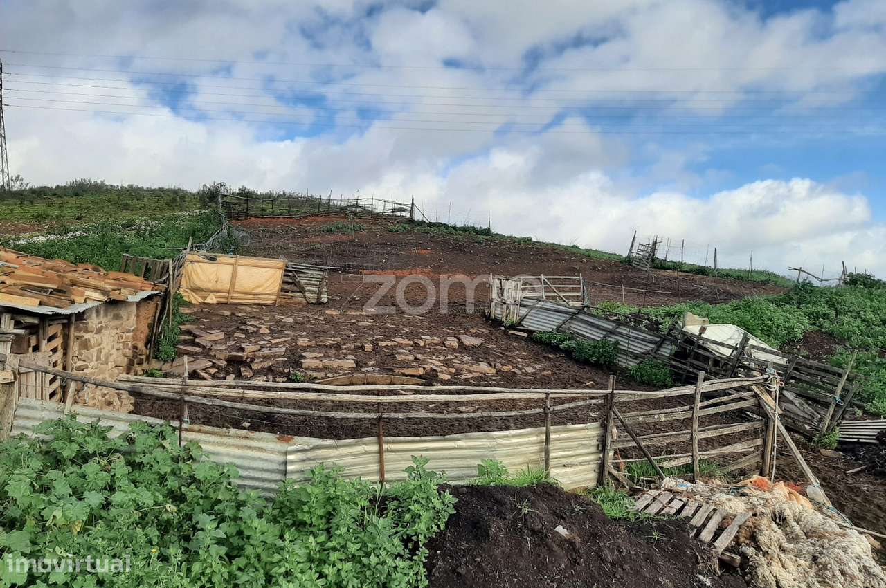 Moradia com terreno de 5,15 Ha em Mexilhoeira Grande - Grande imagem: 4/31