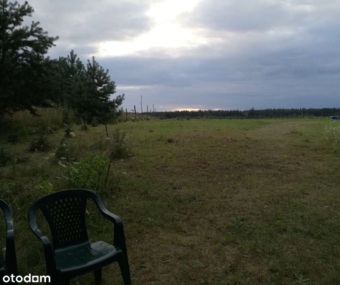 Działka nad jeziorem z 25 metrową linią brzegową, jezioro Cekcyńskie - Pełny obrazek: 5/11