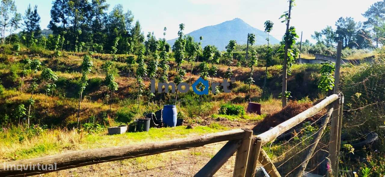 Terreno com nascente de Água!-12