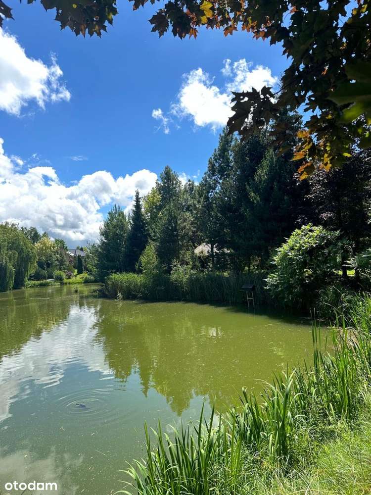 Wyjątkowa rezydencja z prywatnym stawem-3