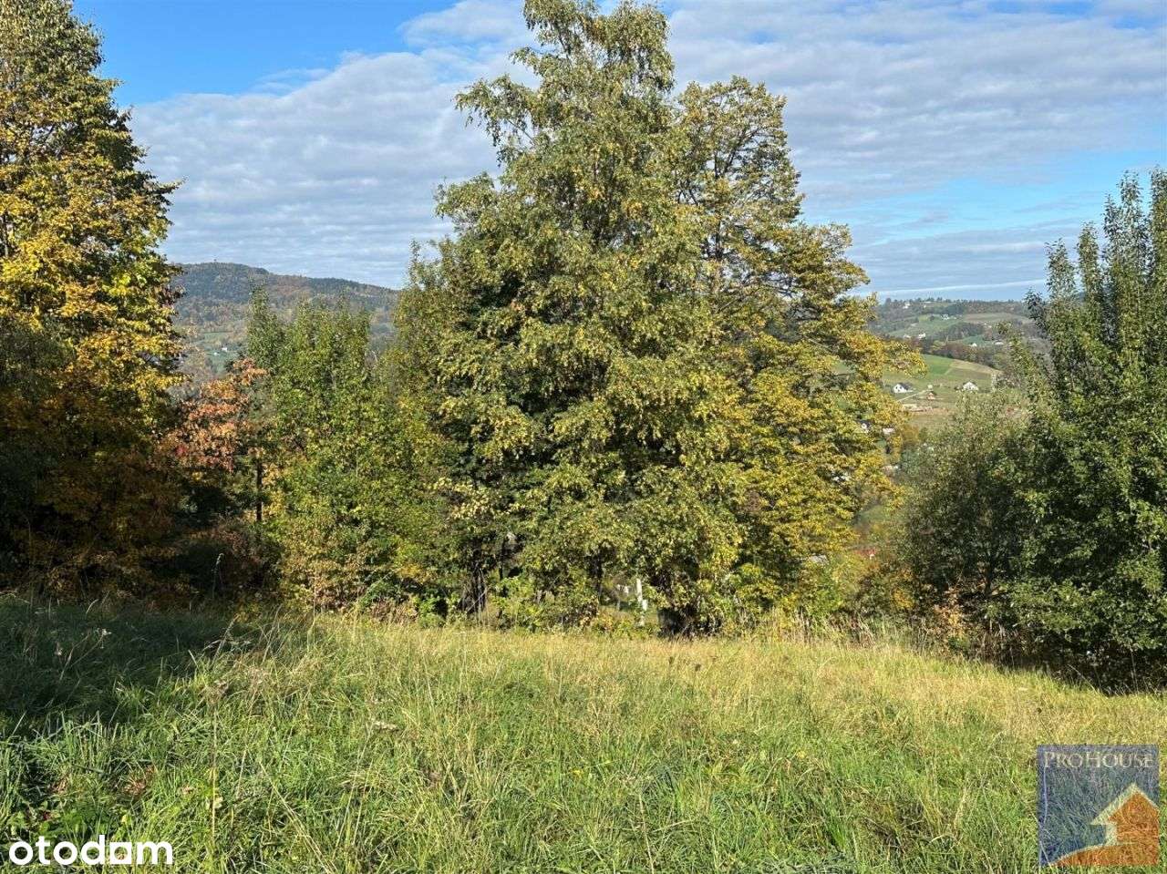 Działka, 1 244 m², Laskowa-18