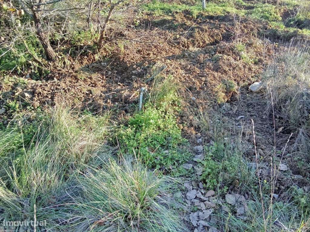 Terreno rústico em Vale Serrão, Pereiro de Palhacana, Alenquer-15