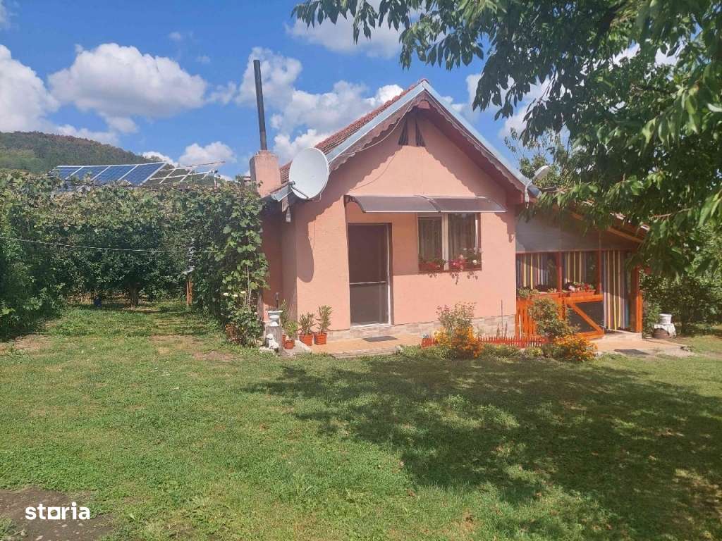 Livada cu cabana si lac (12.ooo mp) la Dostat - Imagine principală: 4/20