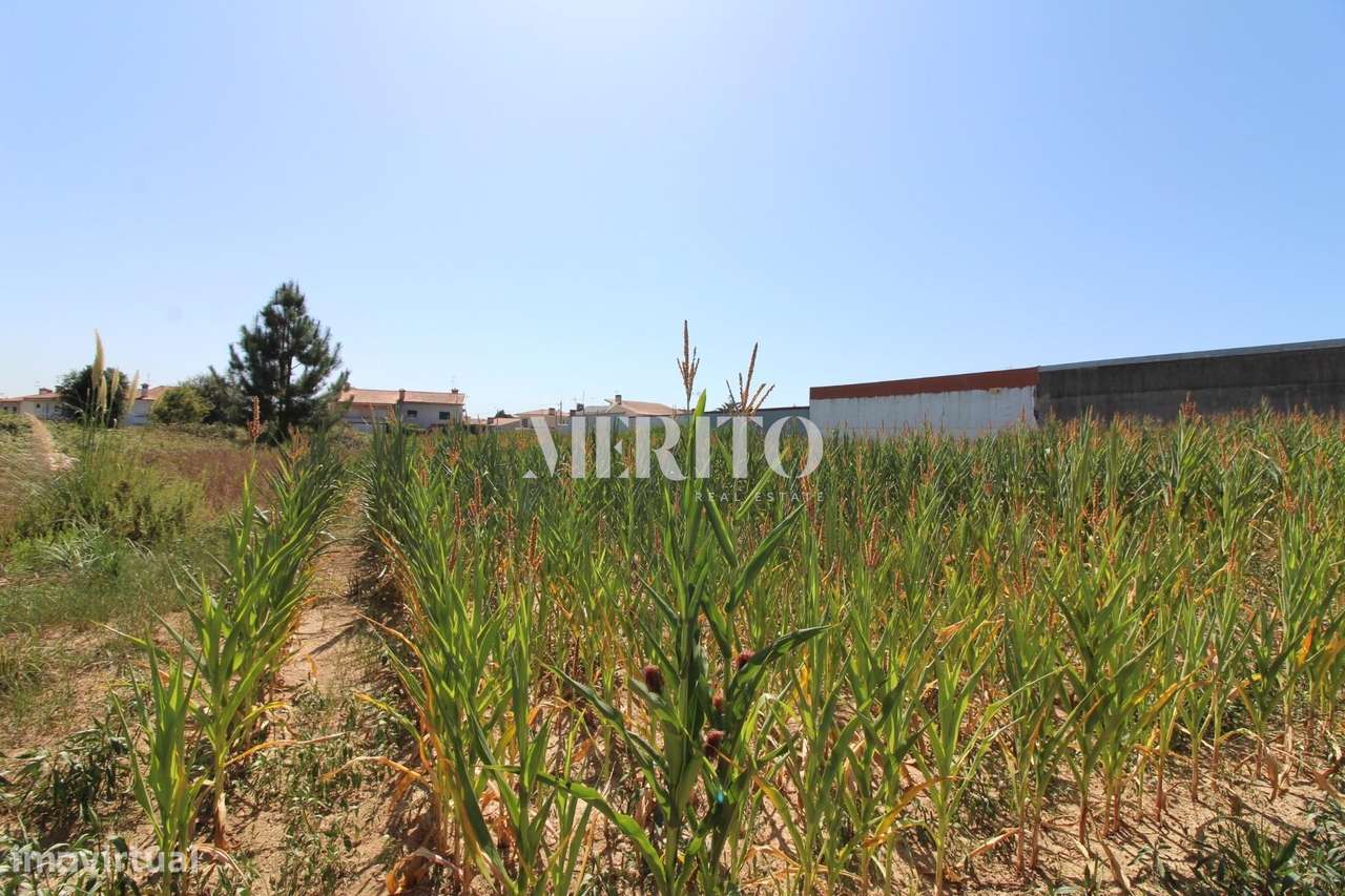 Terreno viável para construção de habitação - Grande imagem: 5/7