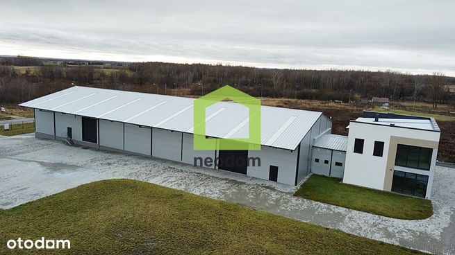 Hala Logistyczno - Magazynowa | Grzybów | Staszów