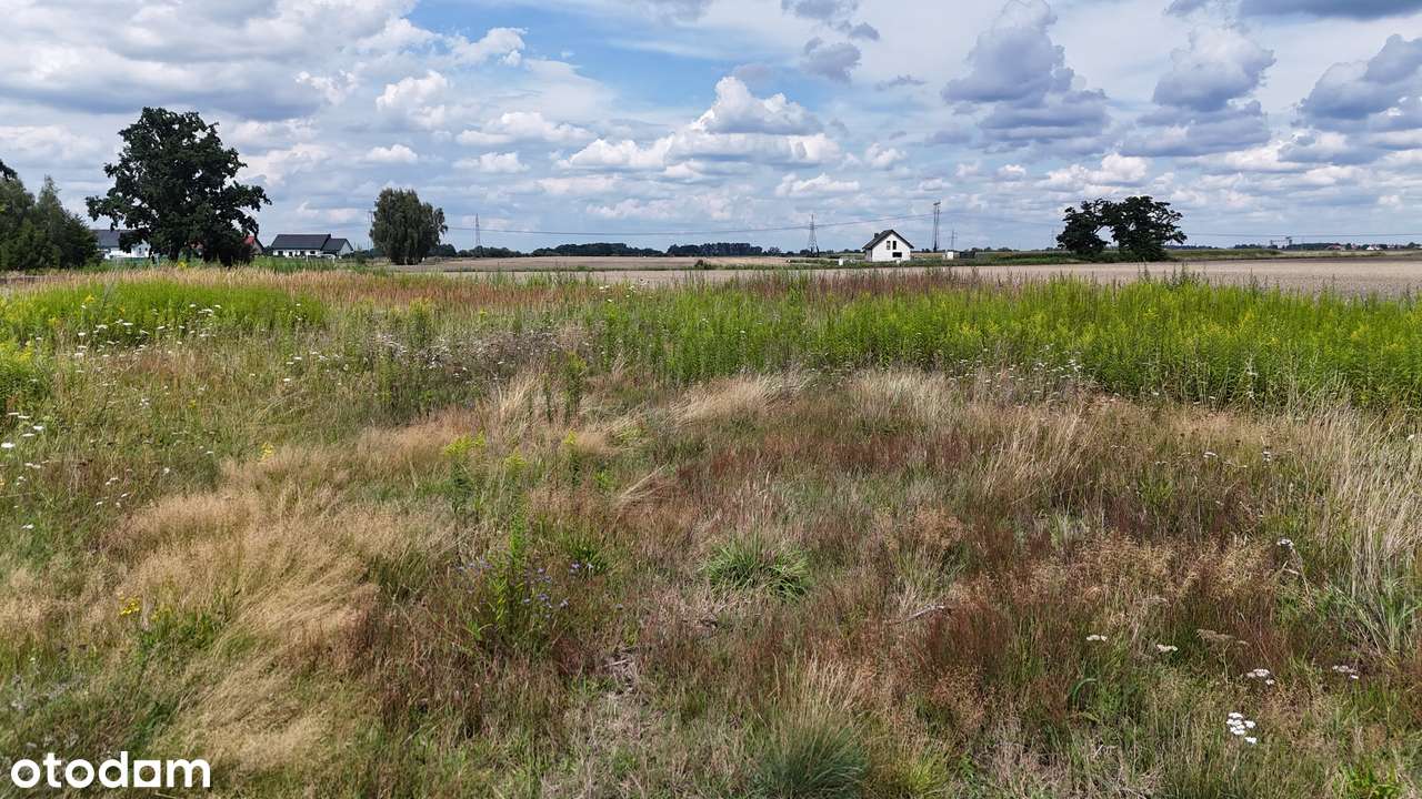 Nieciszów – duże działki 1000 m², MPZP, szybki dojazd do Wrocławia - Pełny obrazek: 2/11