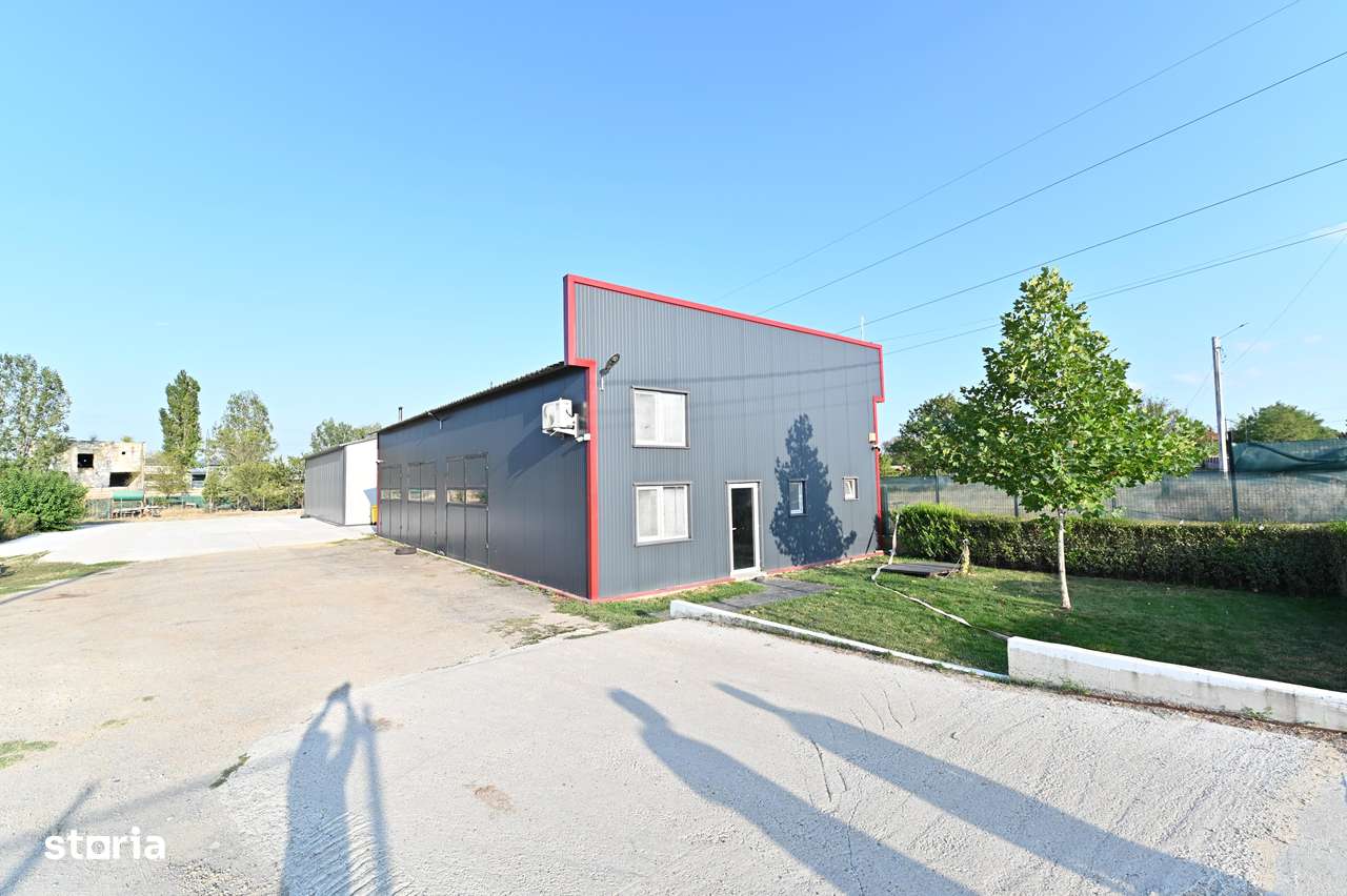 Hala de vânzare/închiriat Podari-11