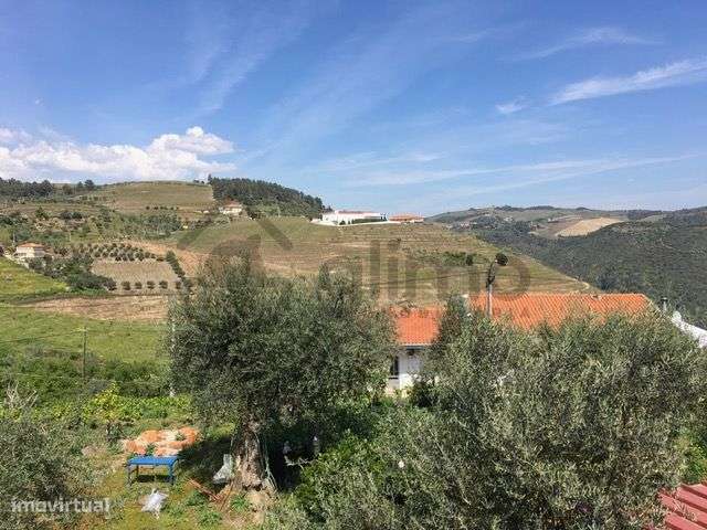 Casa com Terreno em Vilarinho de Cotas, Douro-32