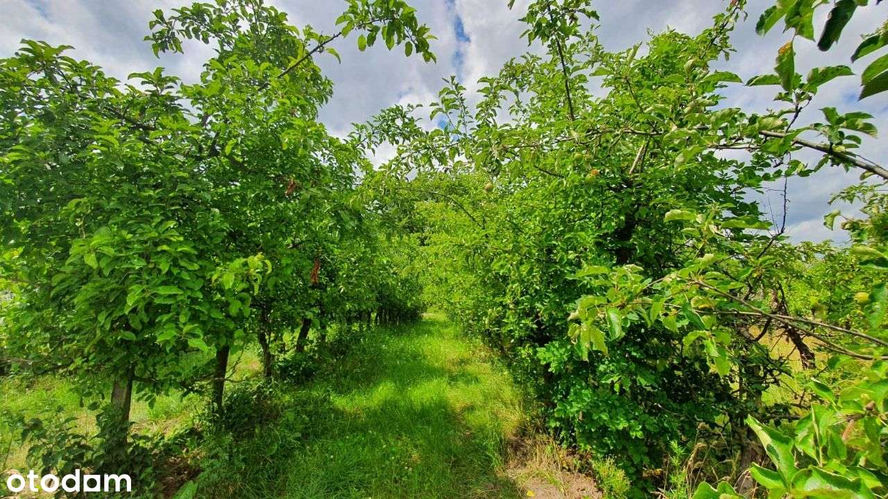 Dom nad Jeziorem k.Poznania, pełna infrastruktura! - Pełny obrazek: 2/9