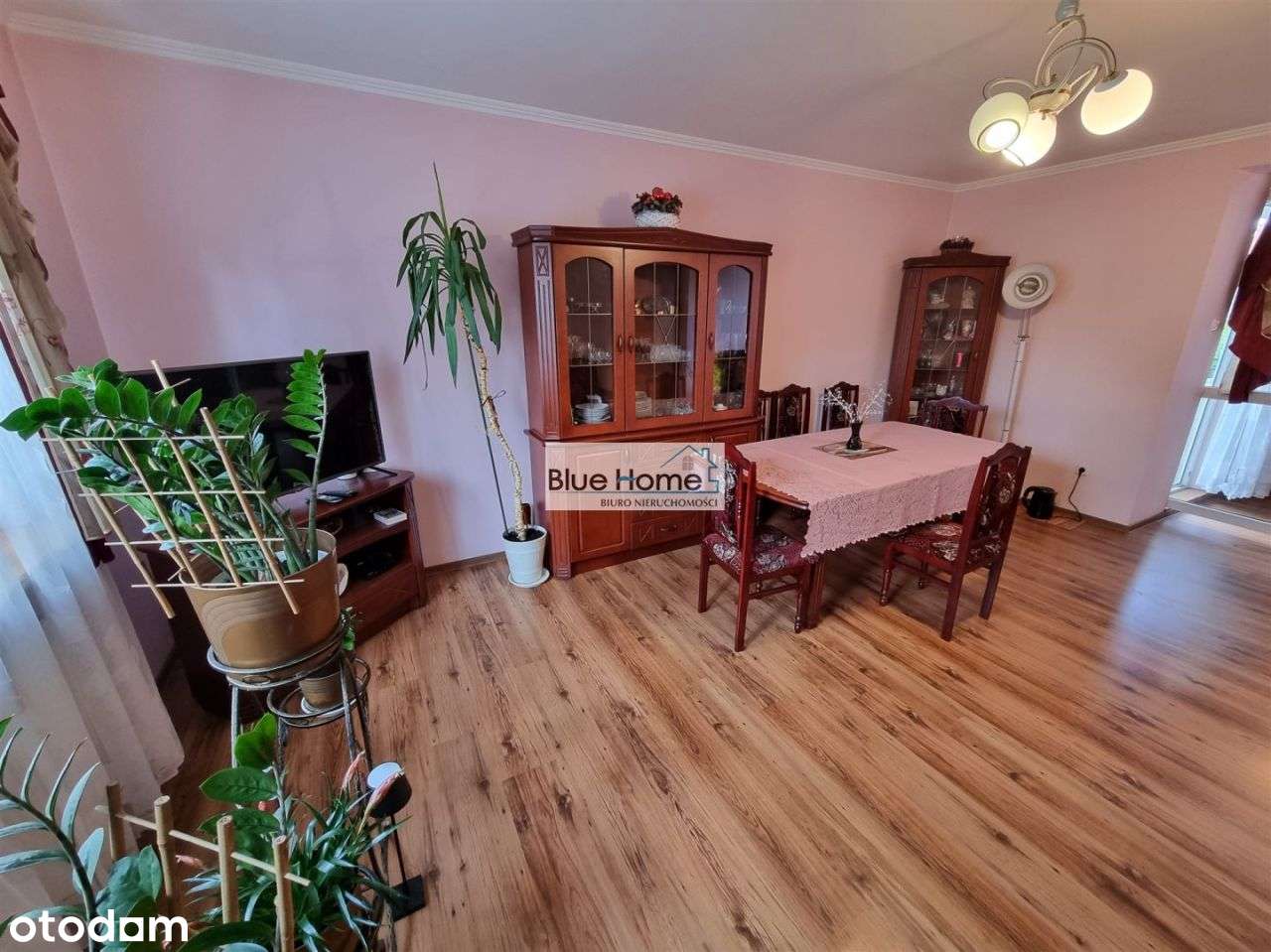 Dom w Ciechocinku 500m od tężni - Pełny obrazek: 4/18