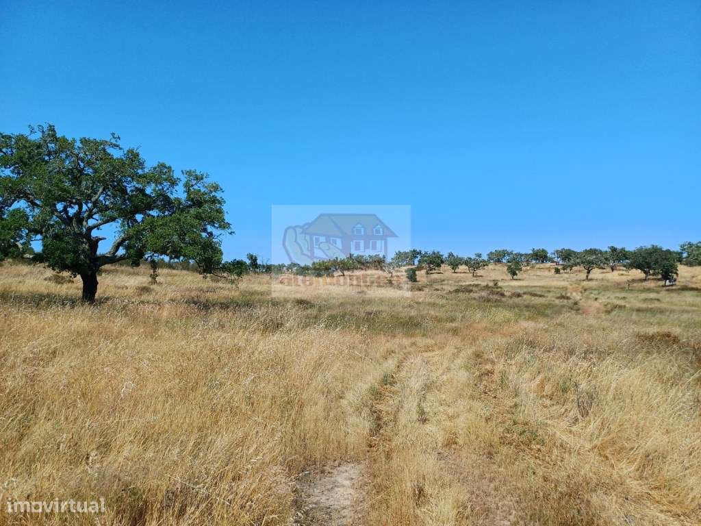 Terreno com paisagem típica alentejana - viabilidade para Turismo - Grande imagem: 4/11