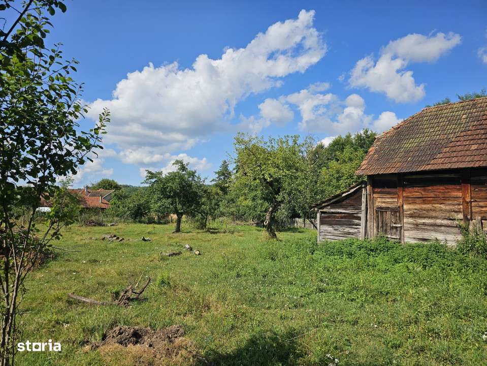 Teren intravilan - constructii, Suprafata 5.200 mp, Varzarii de Jos - Imagine principală: 5/11