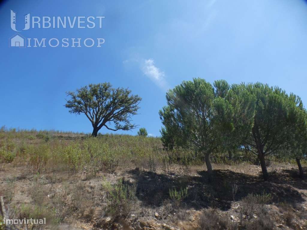 Terreno rústico com varias nascentes de água, com enorme caudal em ... - Grande imagem: 4/35