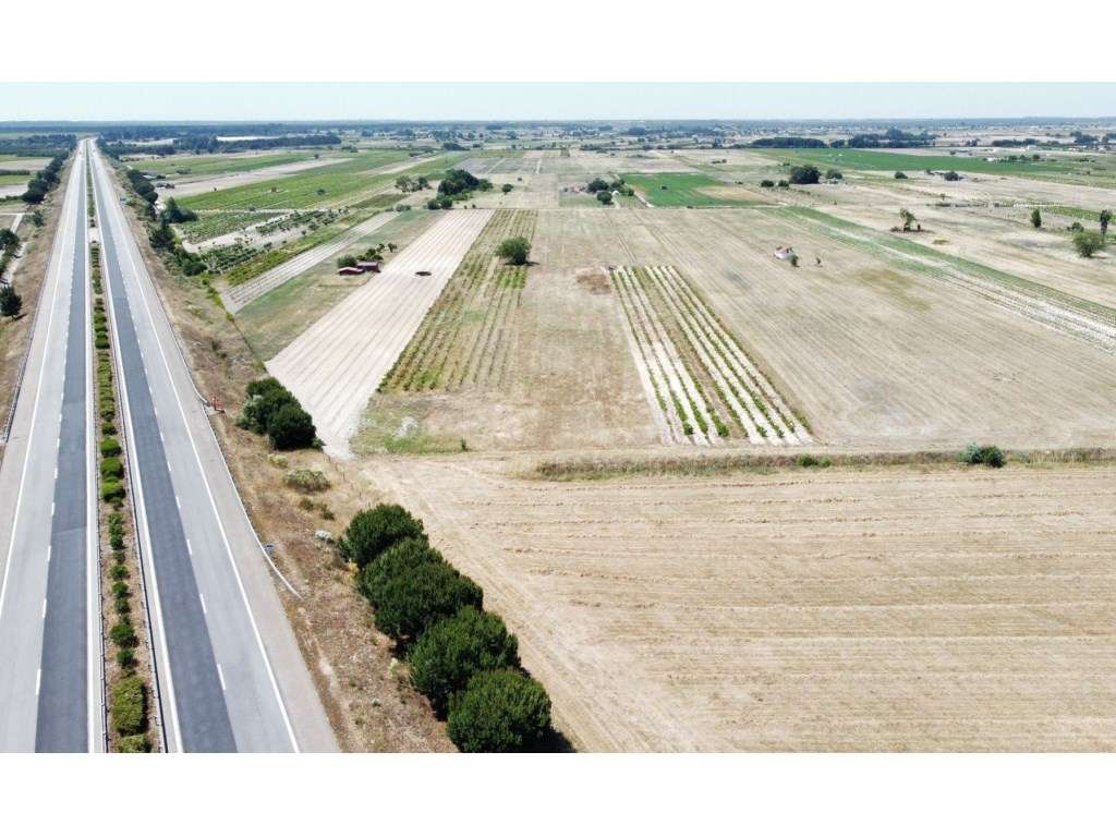 QUINTA EM ALMEIRIM - Grande imagem: 5/22