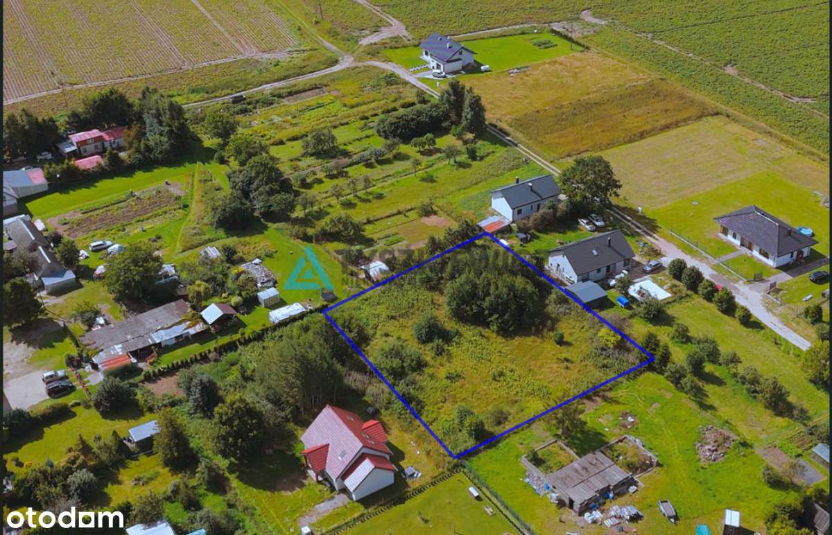 Promocja cenowa od 15.12 do 15.01.2026 - Pełny obrazek: 5/7