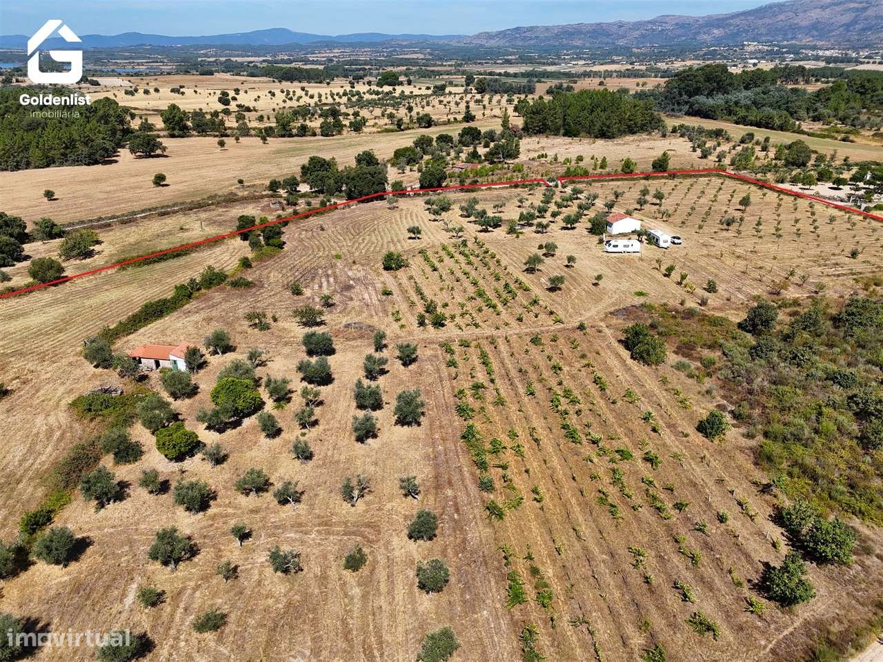 Quinta  Venda em Lardosa,Castelo Branco-15